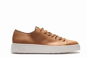 Paraboot Nova Men's Sneakers Brown | ADV573UN